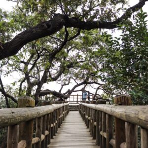 Mirador en Chipinque
