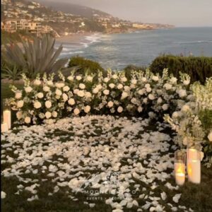 Set especial de propuesta