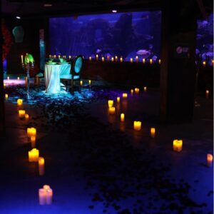 Cena romántica en el Acuario