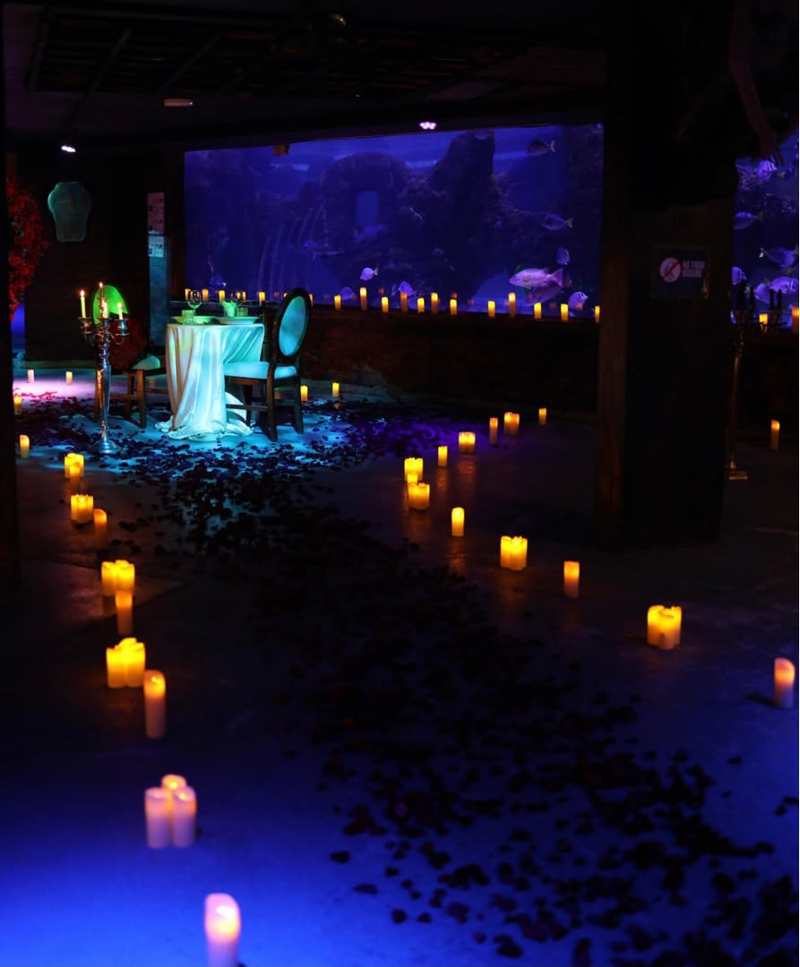 Cena romántica en el Acuario