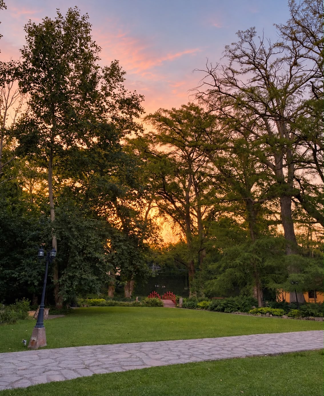 Cena romántica en Jardín valle alto - Imagen 7