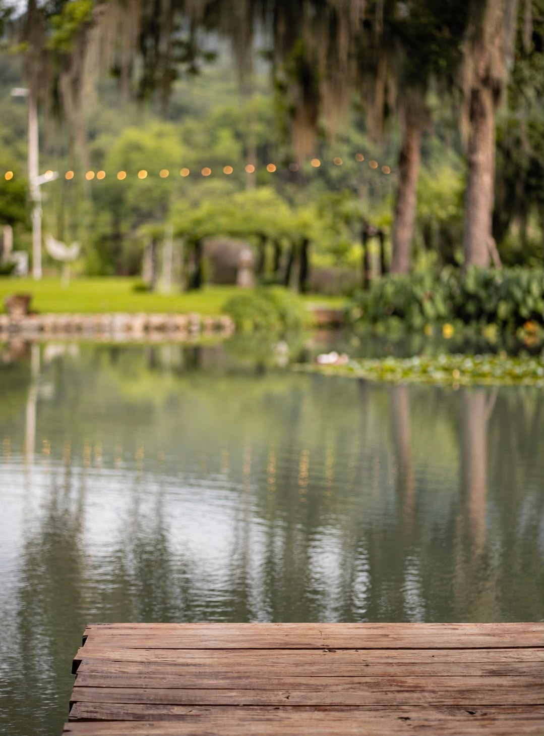 Cena romántica en Jardin en Montemorelos - Imagen 9