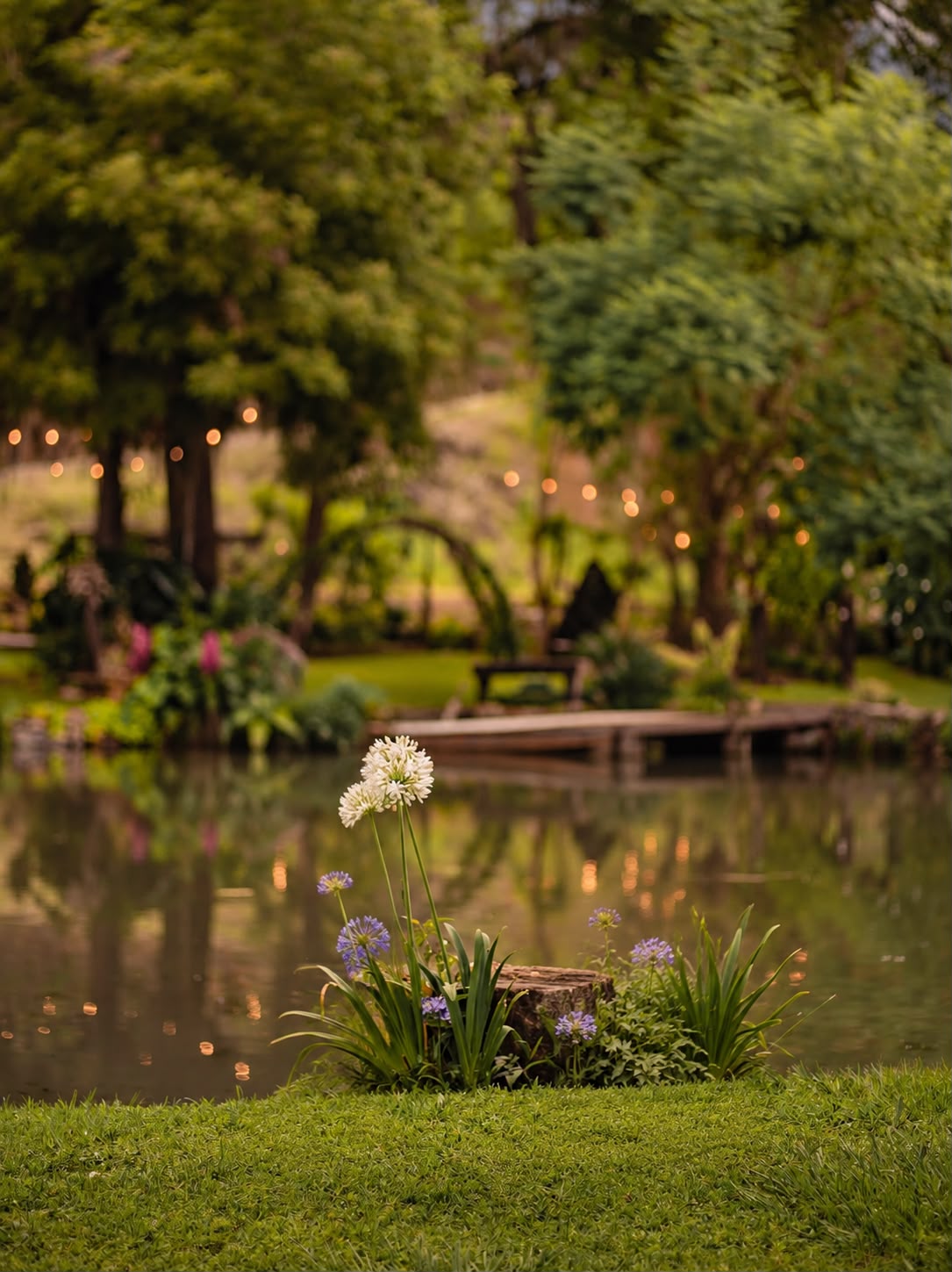Cena romántica en Jardin en Montemorelos - Imagen 10