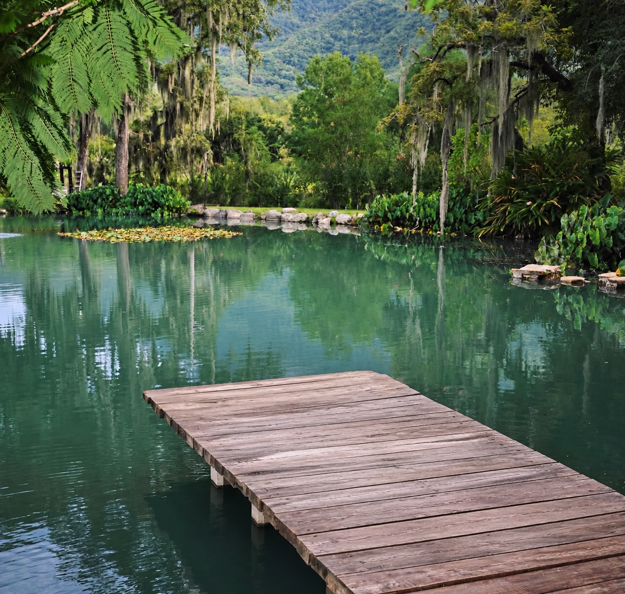 Cena romántica en Jardin en Montemorelos - Imagen 11