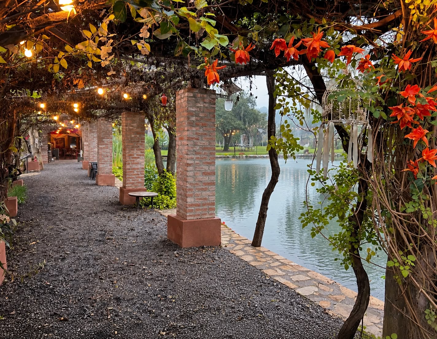 Cena romántica en Jardin en Montemorelos - Imagen 8