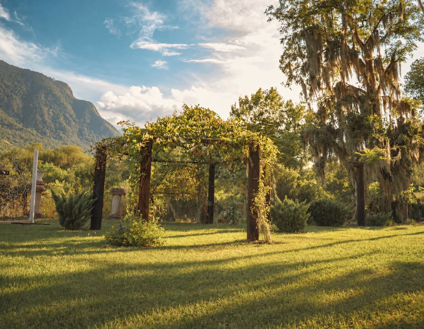 Cena romántica en Jardin en Montemorelos - Imagen 12